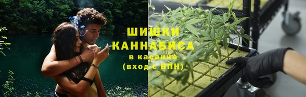 дмт Аркадак