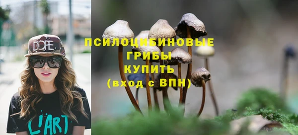 а пвп мука Армянск