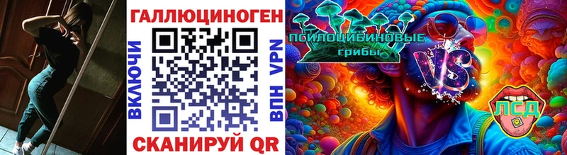 цена наркотик  блэк спрут зеркало  Галлюциногенные грибы Psilocybe  Пугачёв 